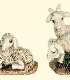 pecore in gruppo in resina